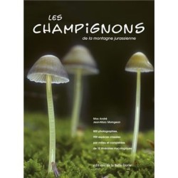 Les champignons de la montagne jurassienne