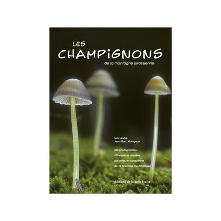 Les champignons de la montagne jurassienne