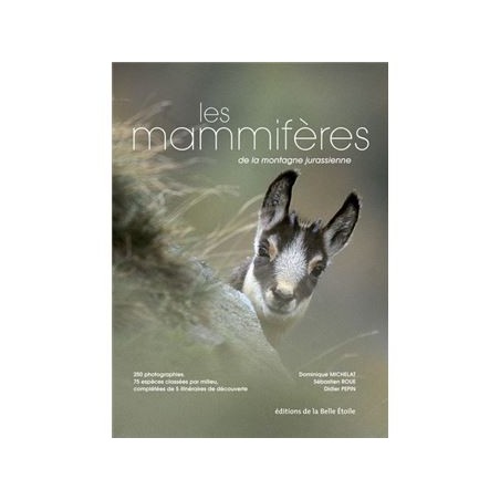 Les mammifères de la montagne jurassienne