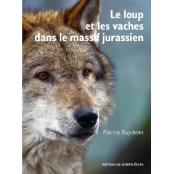 Le loup et les vaches dans...