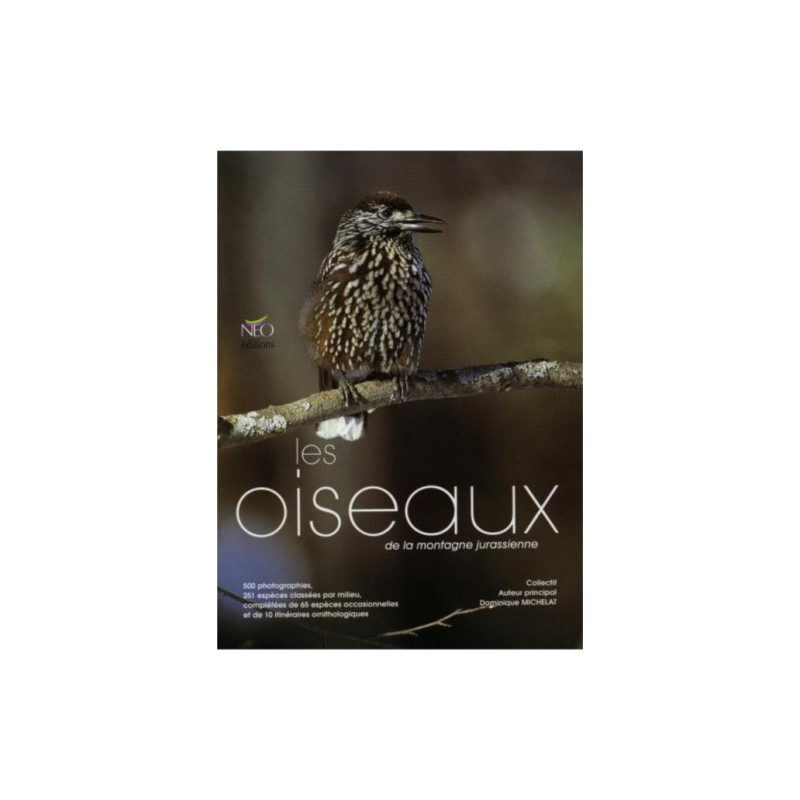 Les oiseaux de la montagne jurassienne