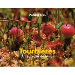 Tourbières à l'épreuve du temps