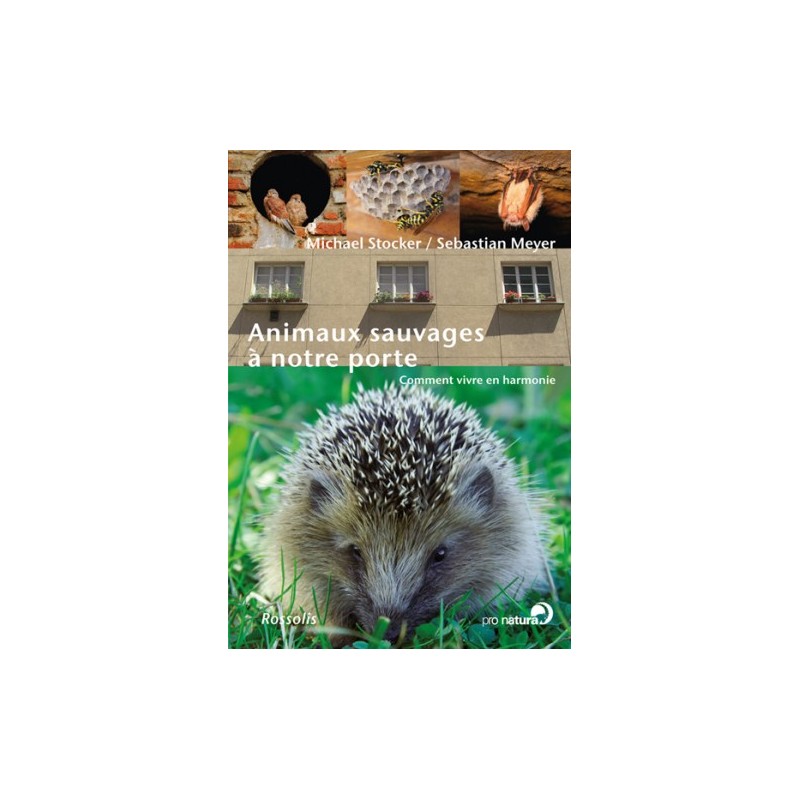 Animaux sauvages à notre porte